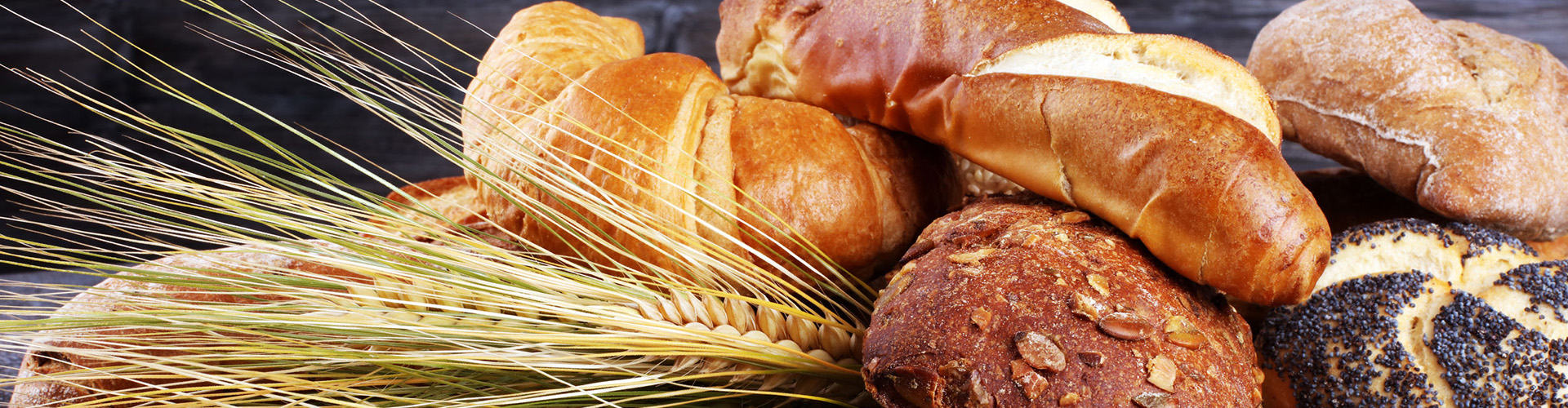 Brötchen in der Bäckerei Körner